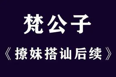 梵公子：搭讪恋爱后续聊天视频教程-元气ACG-绅士游戏下载基地！