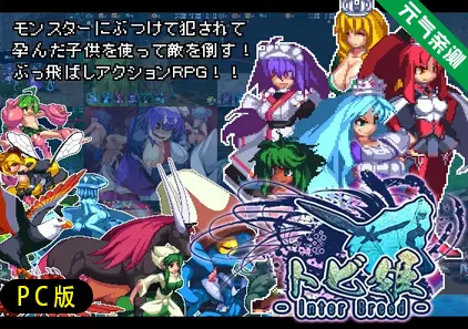 【PC】飞跃公主 Ver2.04官中PC版トビ姫 – Inter Breed –-元气ACG-绅士游戏下载基地！